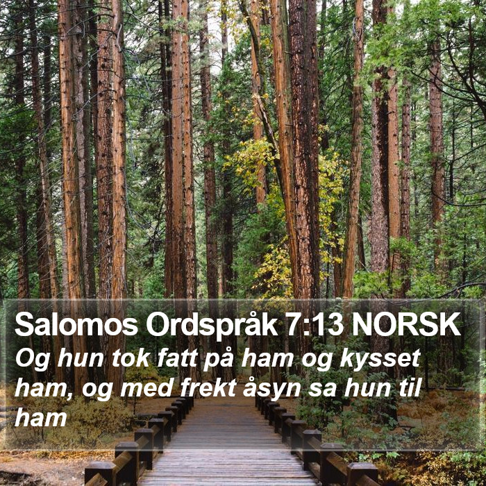 Salomos Ordspråk 7:13 NORSK Bible Study