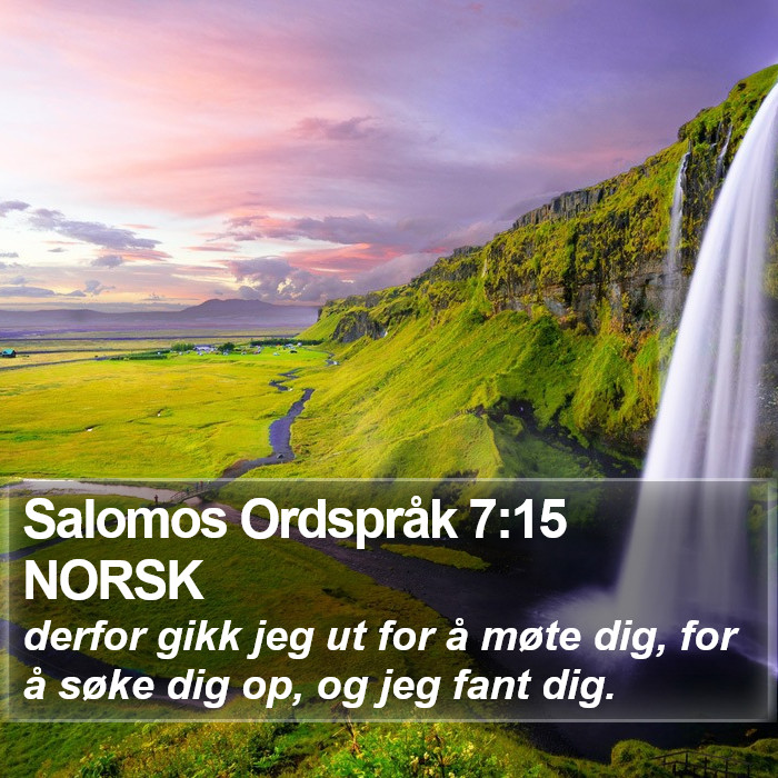 Salomos Ordspråk 7:15 NORSK Bible Study