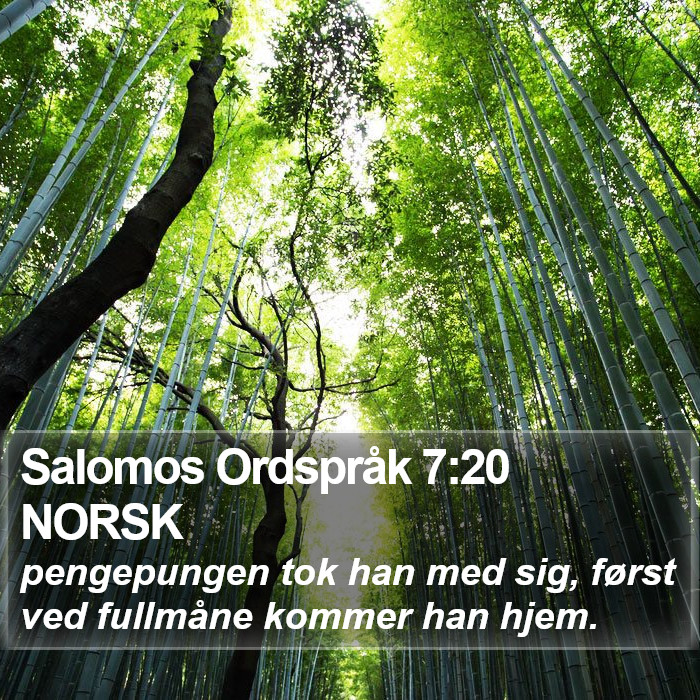 Salomos Ordspråk 7:20 NORSK Bible Study