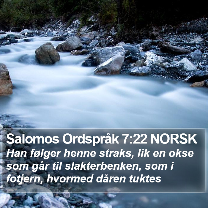 Salomos Ordspråk 7:22 NORSK Bible Study