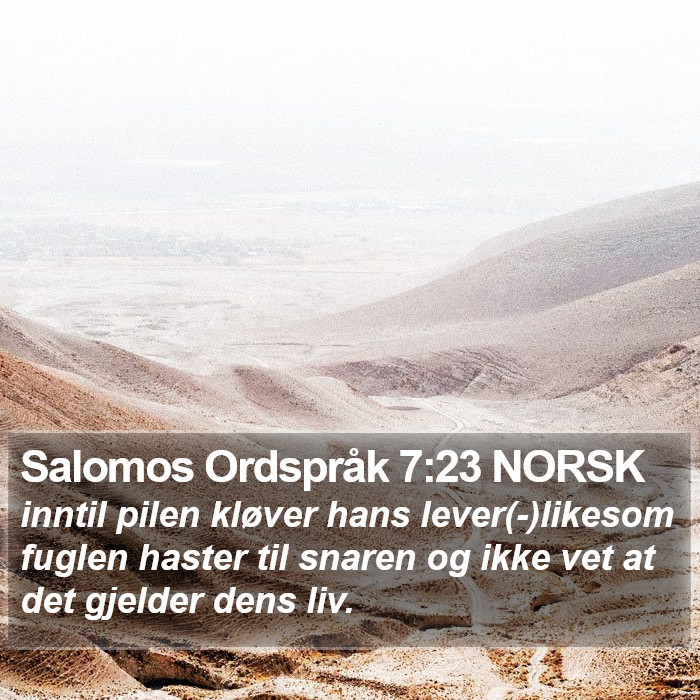 Salomos Ordspråk 7:23 NORSK Bible Study