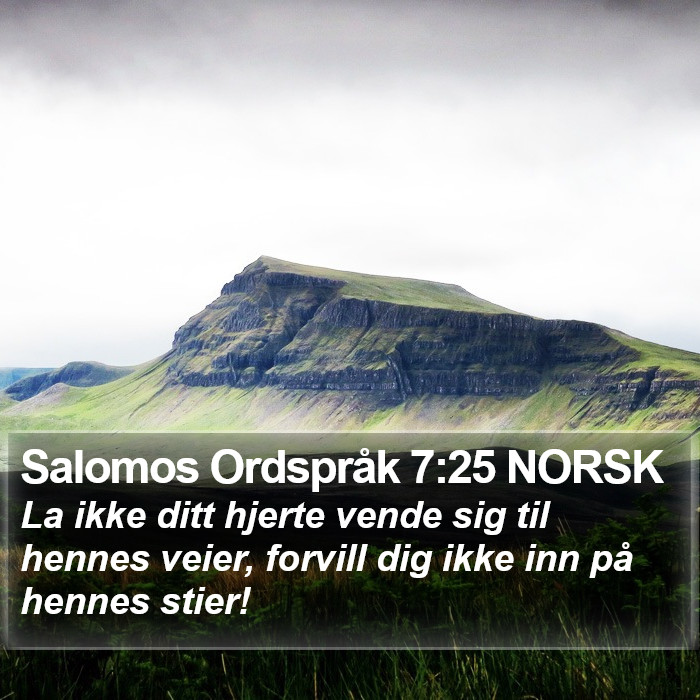 Salomos Ordspråk 7:25 NORSK Bible Study