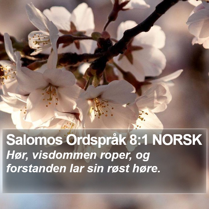 Salomos Ordspråk 8:1 NORSK Bible Study