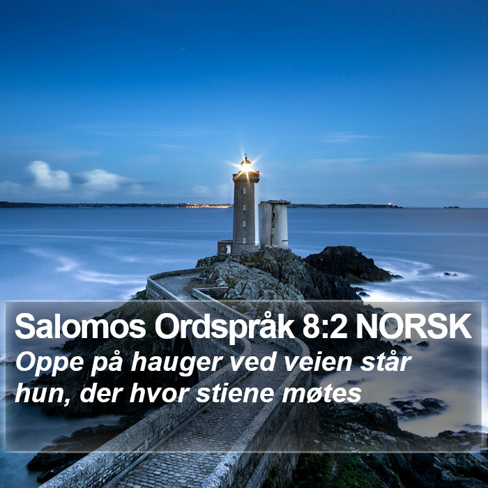 Salomos Ordspråk 8:2 NORSK Bible Study