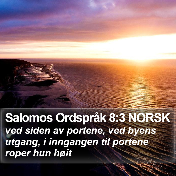 Salomos Ordspråk 8:3 NORSK Bible Study