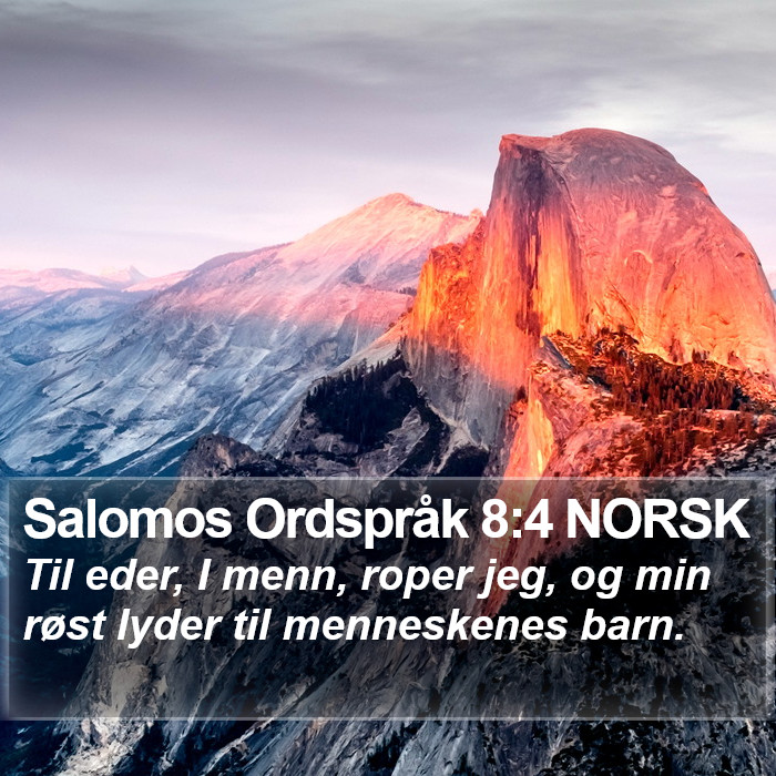 Salomos Ordspråk 8:4 NORSK Bible Study