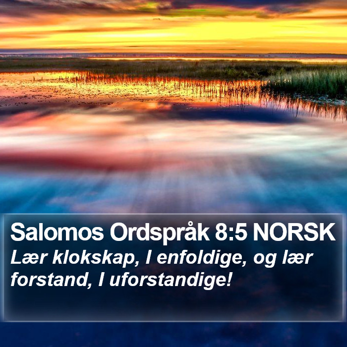 Salomos Ordspråk 8:5 NORSK Bible Study