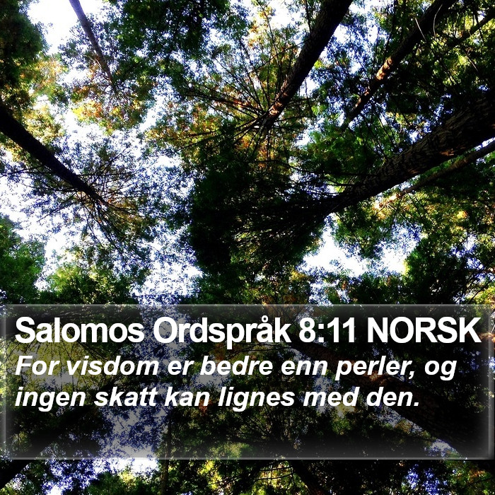 Salomos Ordspråk 8:11 NORSK Bible Study