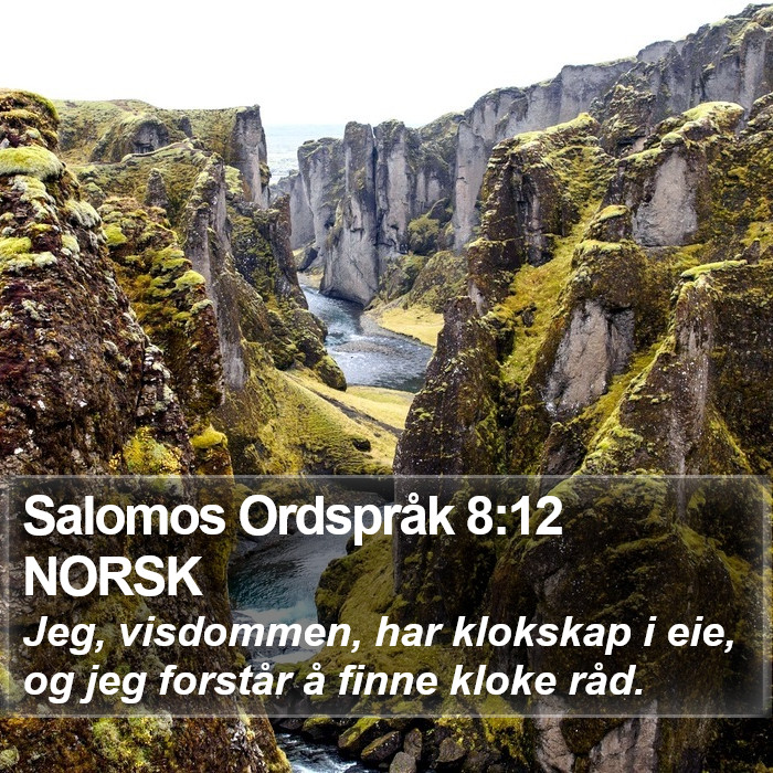 Salomos Ordspråk 8:12 NORSK Bible Study