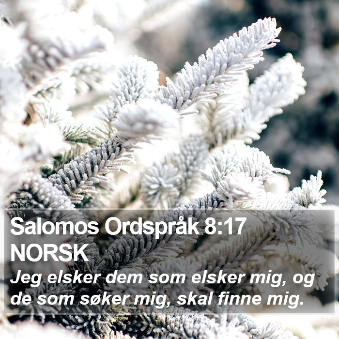 Salomos Ordspråk 8:17 NORSK Bible Study