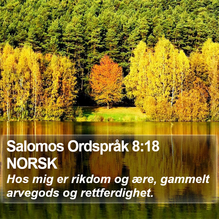 Salomos Ordspråk 8:18 NORSK Bible Study