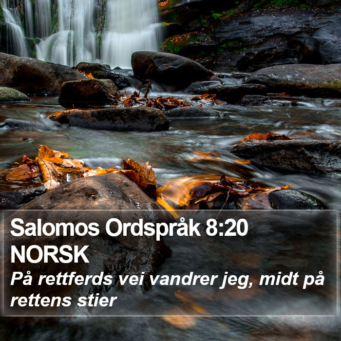 Salomos Ordspråk 8:20 NORSK Bible Study