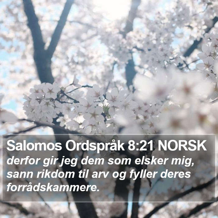 Salomos Ordspråk 8:21 NORSK Bible Study