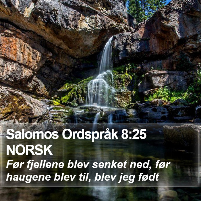 Salomos Ordspråk 8:25 NORSK Bible Study