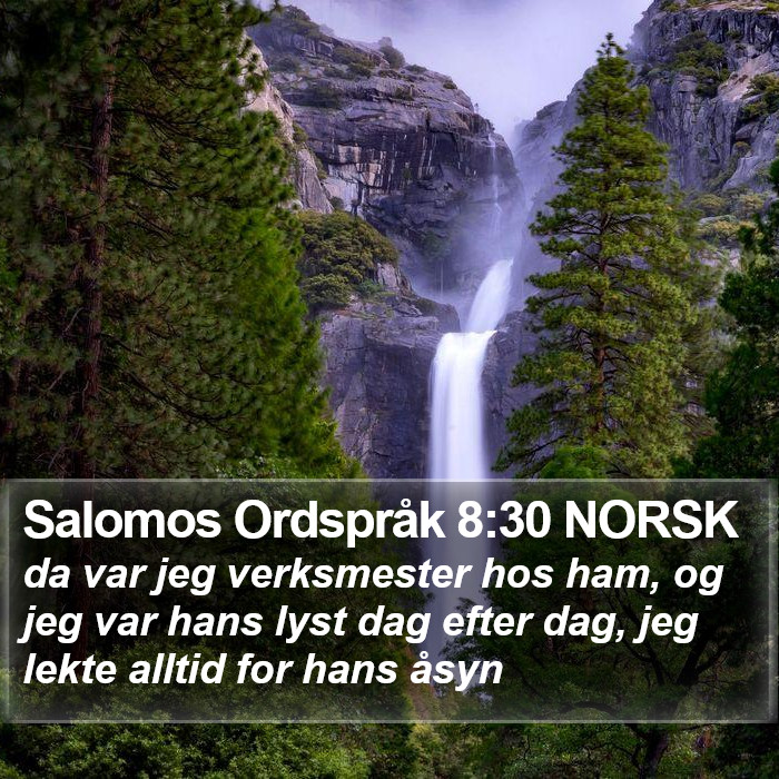 Salomos Ordspråk 8:30 NORSK Bible Study