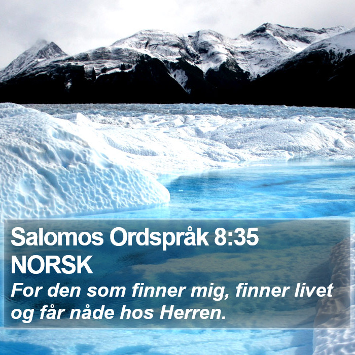 Salomos Ordspråk 8:35 NORSK Bible Study