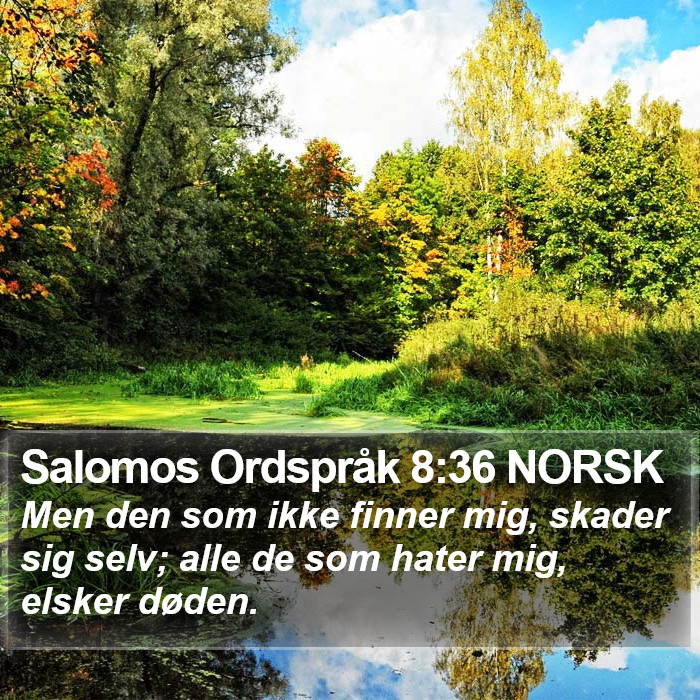 Salomos Ordspråk 8:36 NORSK Bible Study