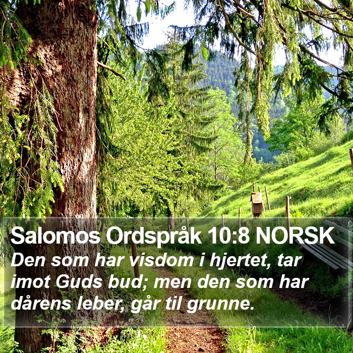 Salomos Ordspråk 10:8 NORSK Bible Study