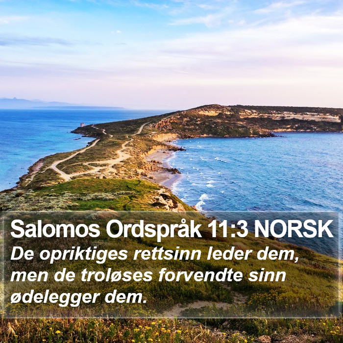 Salomos Ordspråk 11:3 NORSK Bible Study