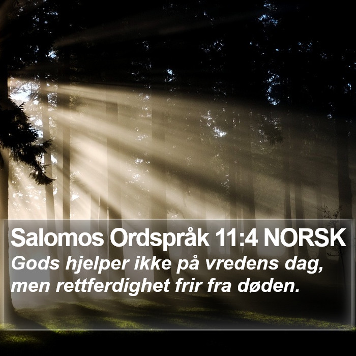 Salomos Ordspråk 11:4 NORSK Bible Study