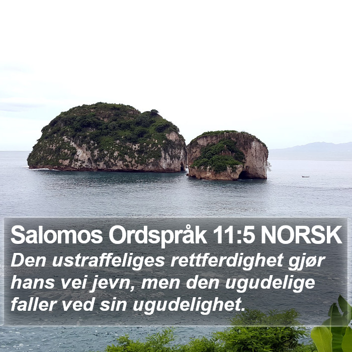 Salomos Ordspråk 11:5 NORSK Bible Study