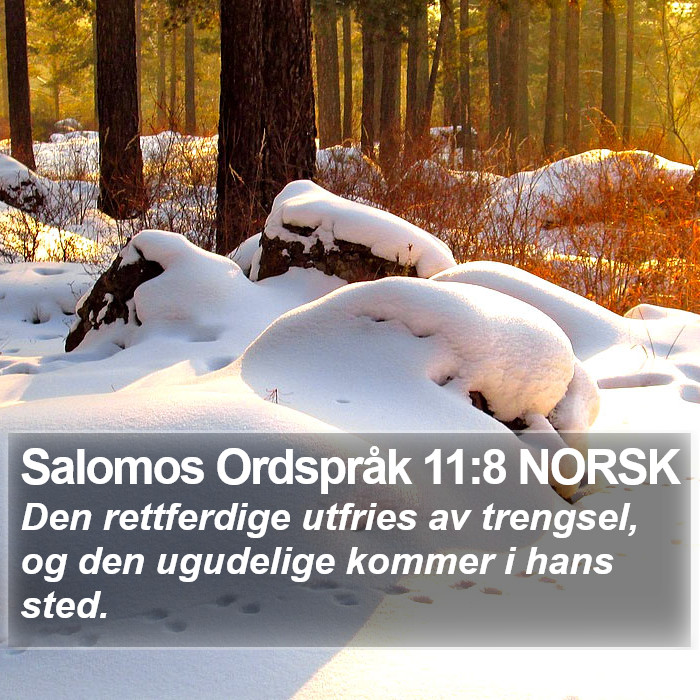 Salomos Ordspråk 11:8 NORSK Bible Study