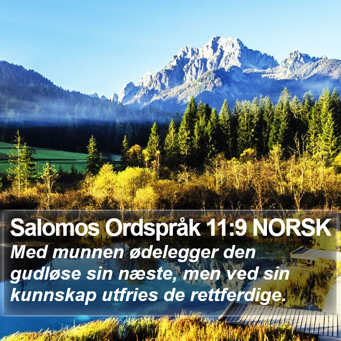 Salomos Ordspråk 11:9 NORSK Bible Study