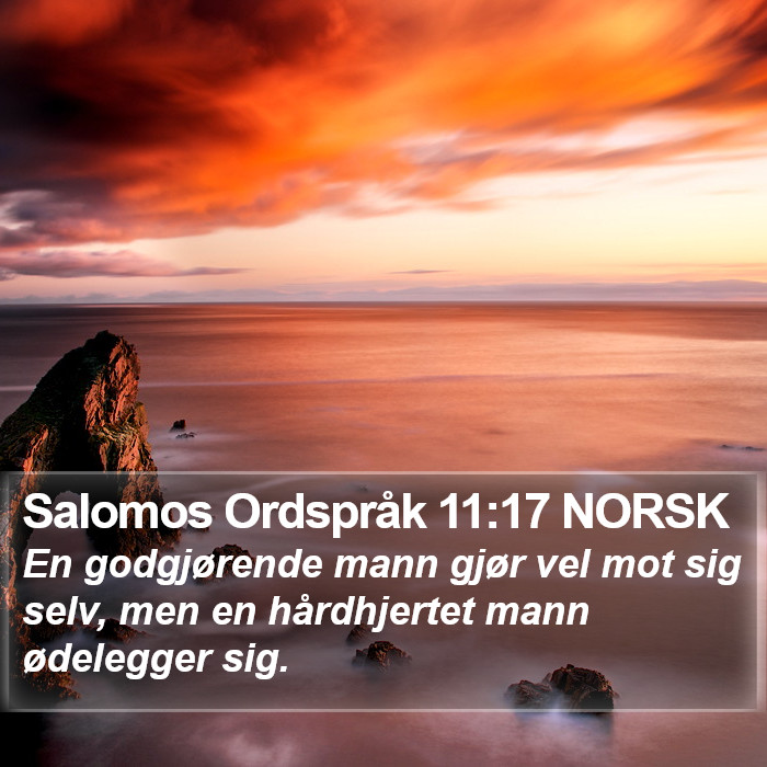 Salomos Ordspråk 11:17 NORSK Bible Study