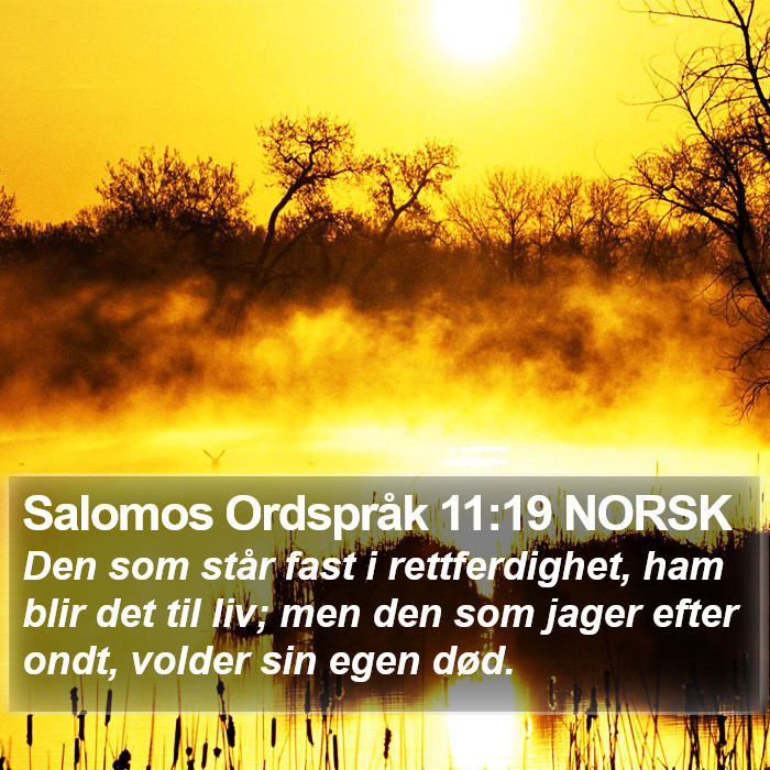 Salomos Ordspråk 11:19 NORSK Bible Study