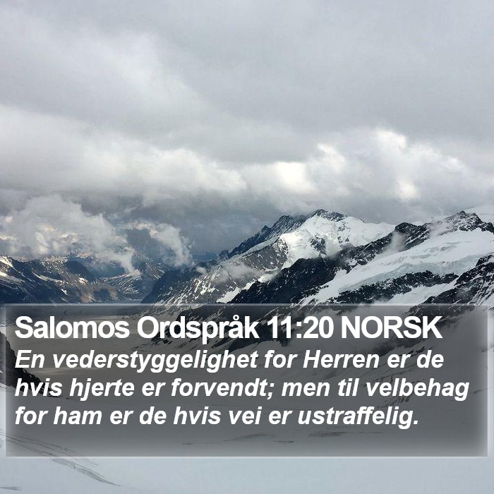 Salomos Ordspråk 11:20 NORSK Bible Study