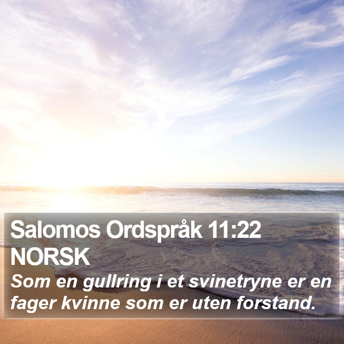 Salomos Ordspråk 11:22 NORSK Bible Study