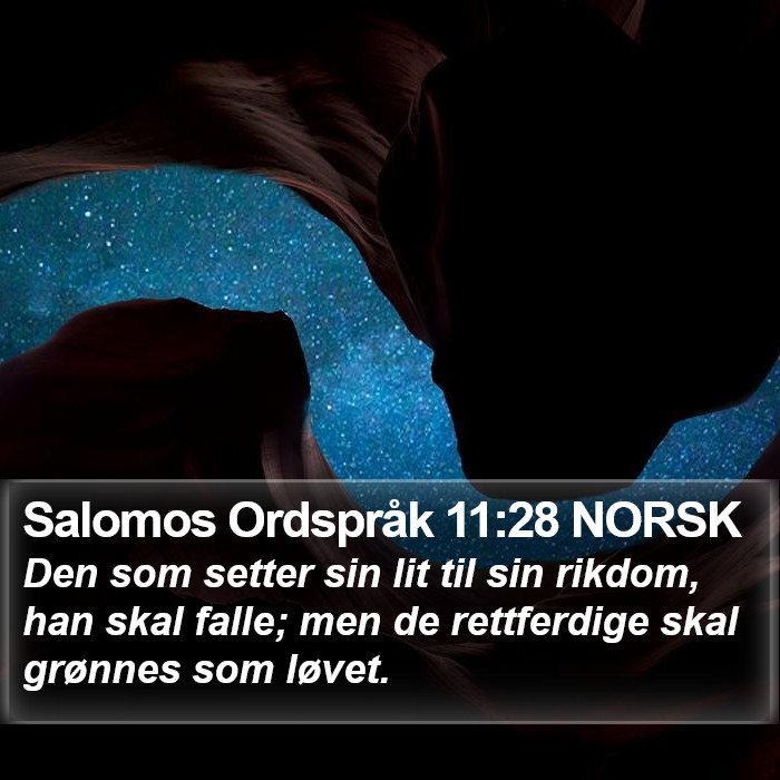 Salomos Ordspråk 11:28 NORSK Bible Study