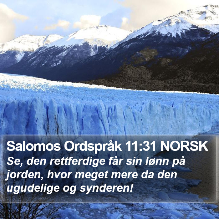 Salomos Ordspråk 11:31 NORSK Bible Study