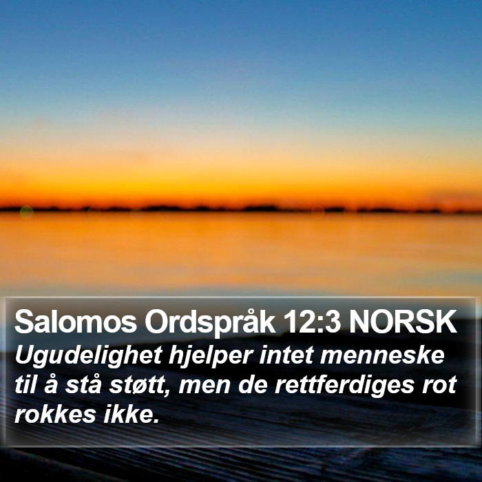 Salomos Ordspråk 12:3 NORSK Bible Study