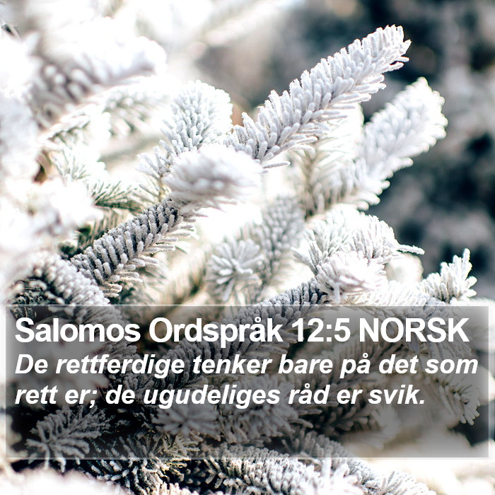 Salomos Ordspråk 12:5 NORSK Bible Study