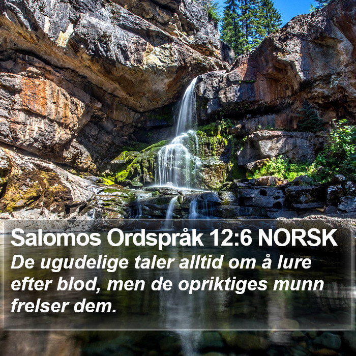 Salomos Ordspråk 12:6 NORSK Bible Study