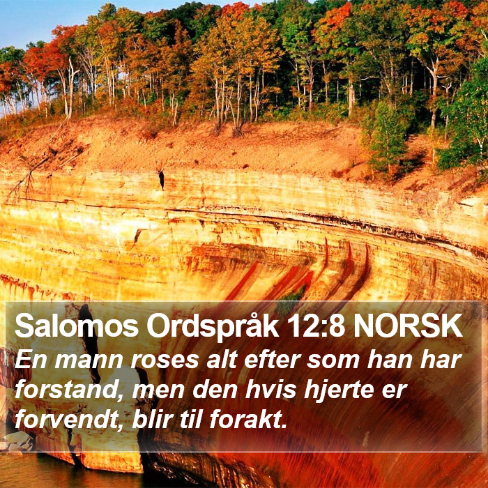 Salomos Ordspråk 12:8 NORSK Bible Study