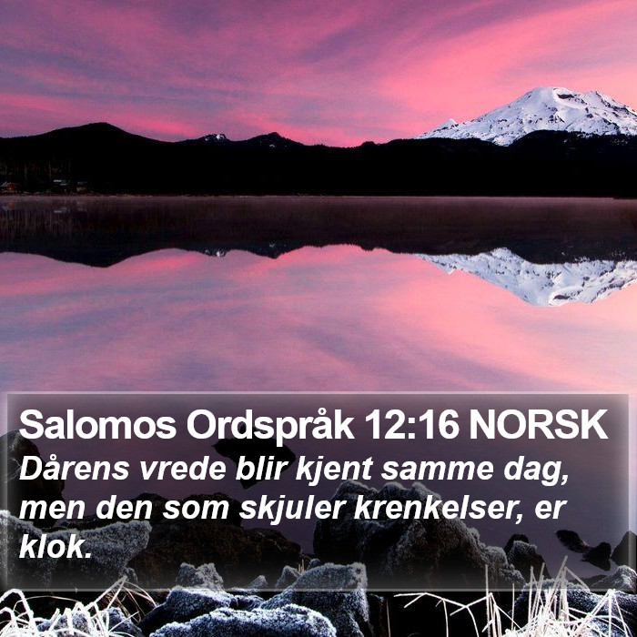 Salomos Ordspråk 12:16 NORSK Bible Study