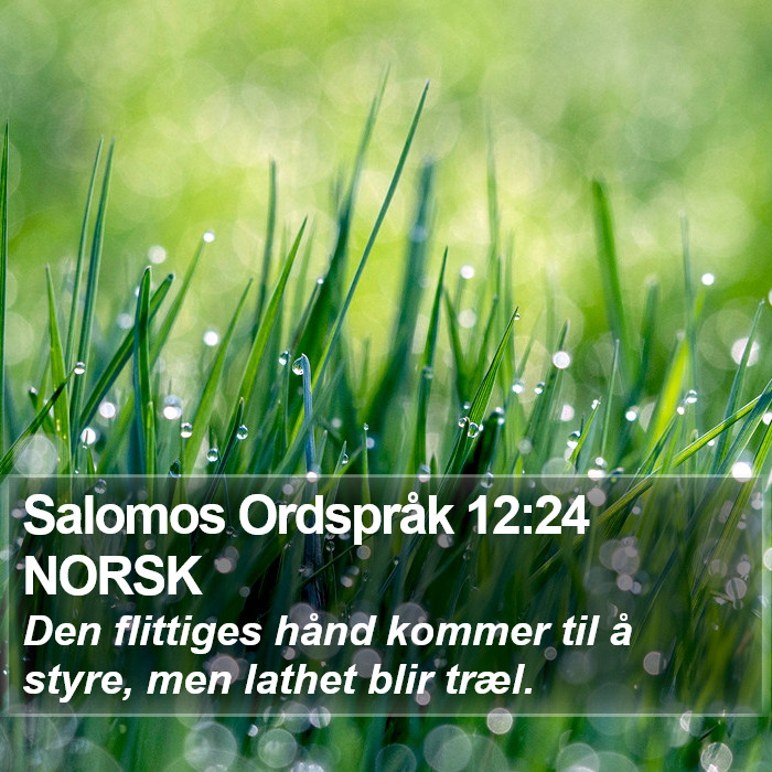 Salomos Ordspråk 12:24 NORSK Bible Study