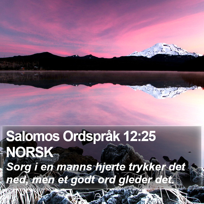 Salomos Ordspråk 12:25 NORSK Bible Study