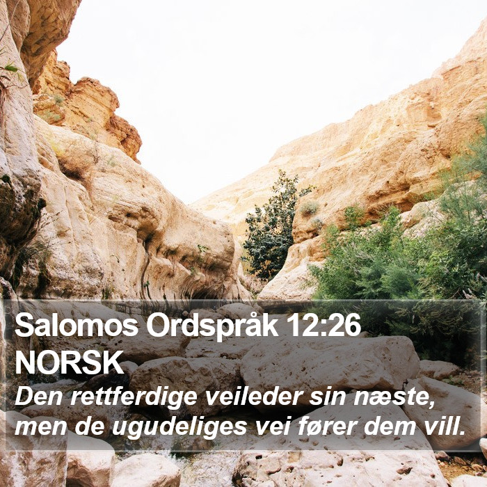 Salomos Ordspråk 12:26 NORSK Bible Study