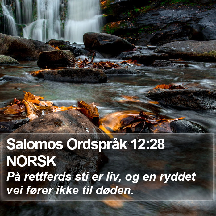 Salomos Ordspråk 12:28 NORSK Bible Study