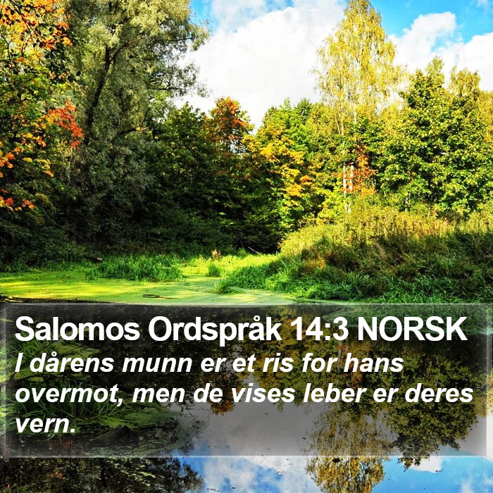 Salomos Ordspråk 14:3 NORSK Bible Study