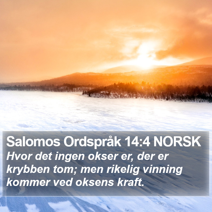 Salomos Ordspråk 14:4 NORSK Bible Study