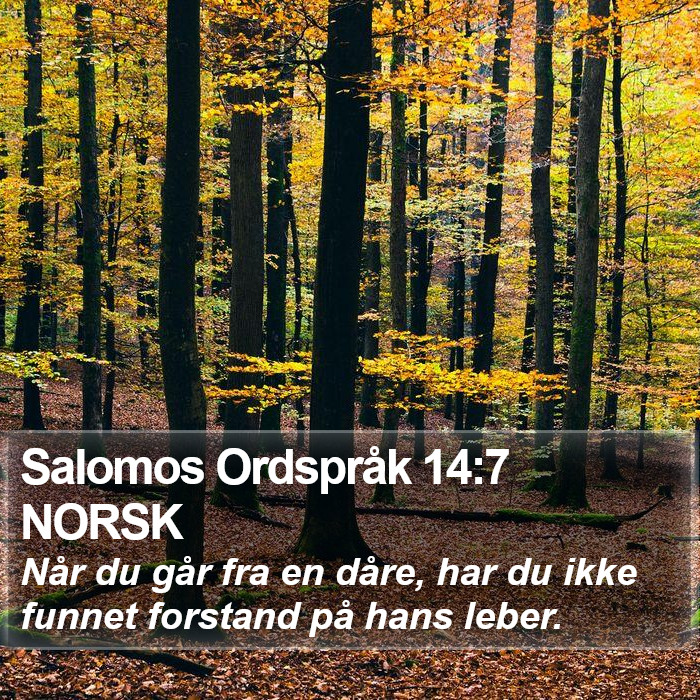 Salomos Ordspråk 14:7 NORSK Bible Study