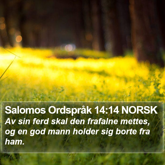 Salomos Ordspråk 14:14 NORSK Bible Study