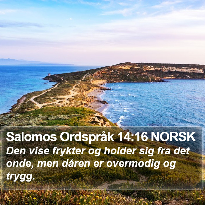 Salomos Ordspråk 14:16 NORSK Bible Study