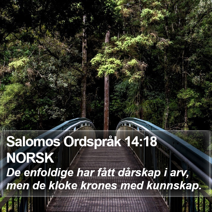 Salomos Ordspråk 14:18 NORSK Bible Study