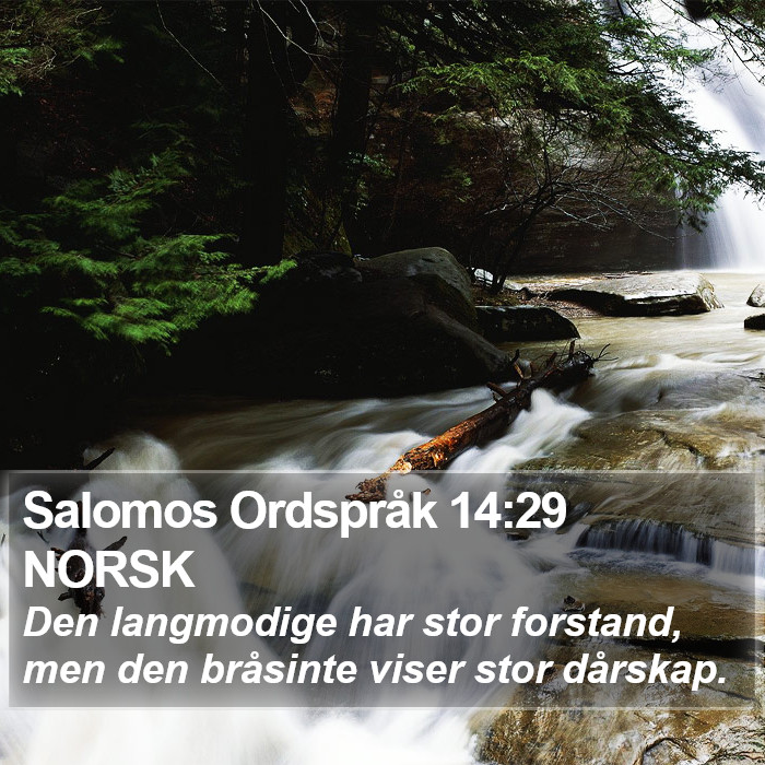 Salomos Ordspråk 14:29 NORSK Bible Study