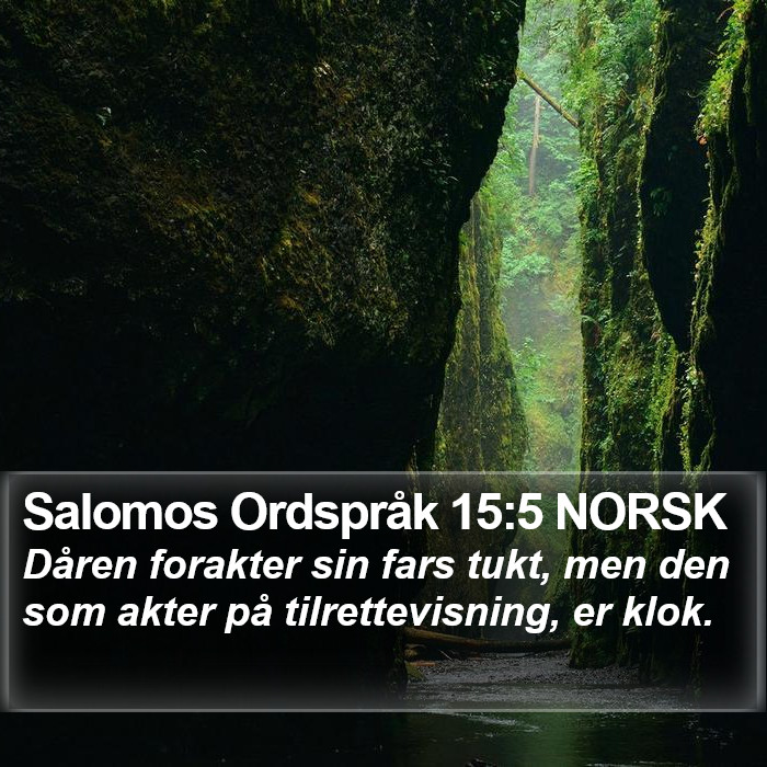 Salomos Ordspråk 15:5 NORSK Bible Study